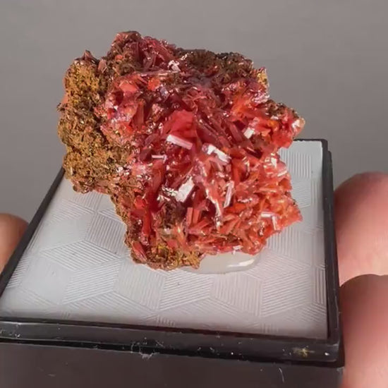 Fire Orange Crocoite Crystal Specimen