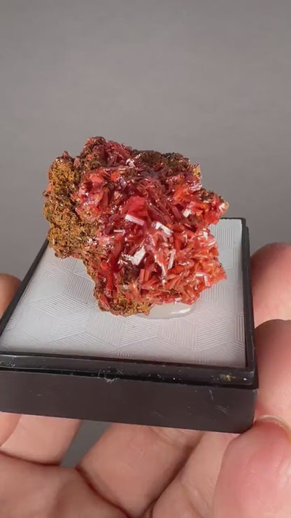 Fire Orange Crocoite Crystal Specimen