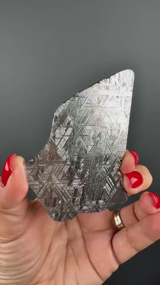 RARE !Muonionalusta Meteorite Slab