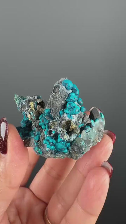 New! Pseudomorp Blue Chrysocolla on Quartz Specimen from Peru