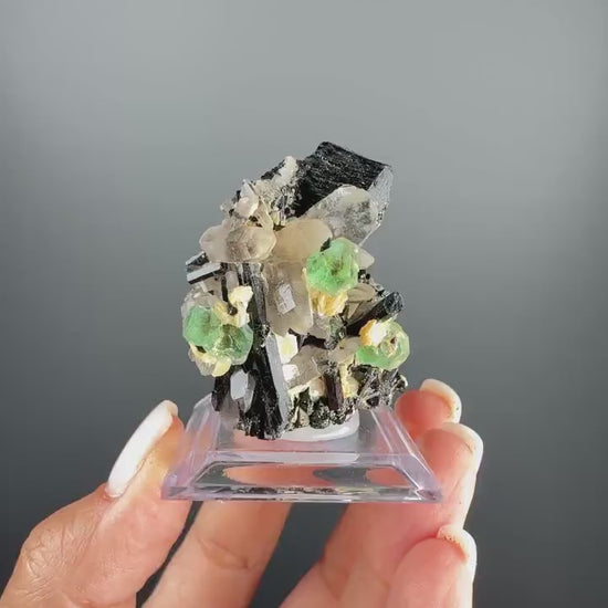Fluorite with  Black Tourmaline Crystal (Lollipop Pocket)