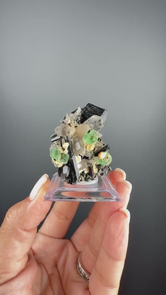 Fluorite with  Black Tourmaline Crystal (Lollipop Pocket)
