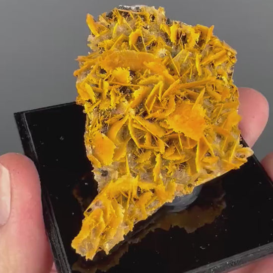 Perfect for Collection! Orange Wulfenite Specimen