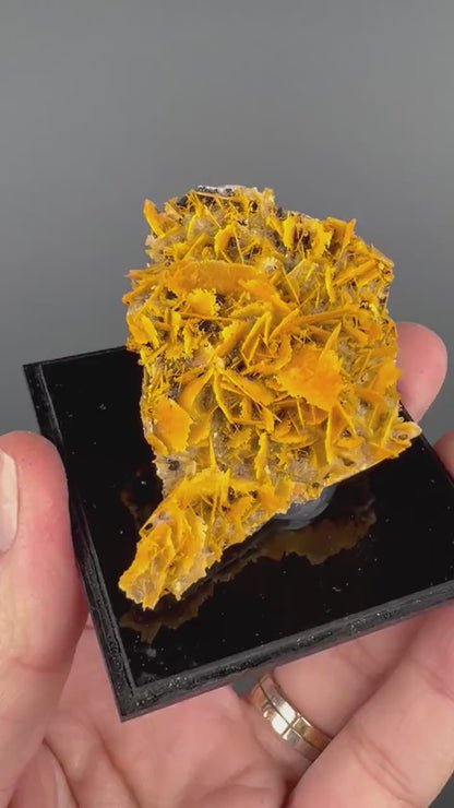 Perfect for Collection! Orange Wulfenite Specimen