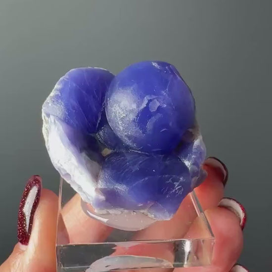 Very Rare! Botryoidal Bluish Purple Fluorite Specimen