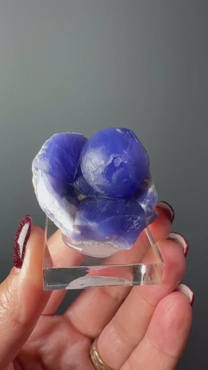 Very Rare! Botryoidal Bluish Purple Fluorite Specimen