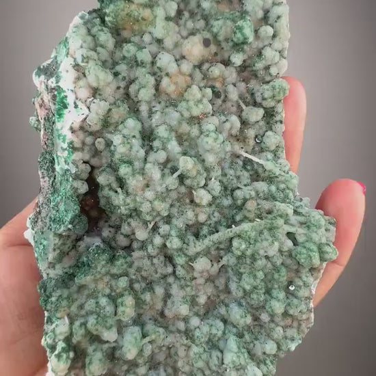 Stunning Piece!Malachite on Druzy Chalcedony Stallactite Specimen from Kalume,Congo