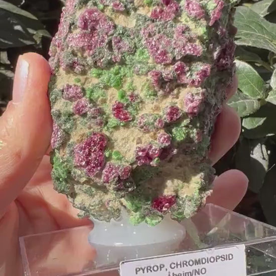 Rare! Pyrope Garnet with Chrom Diopsite Specimen