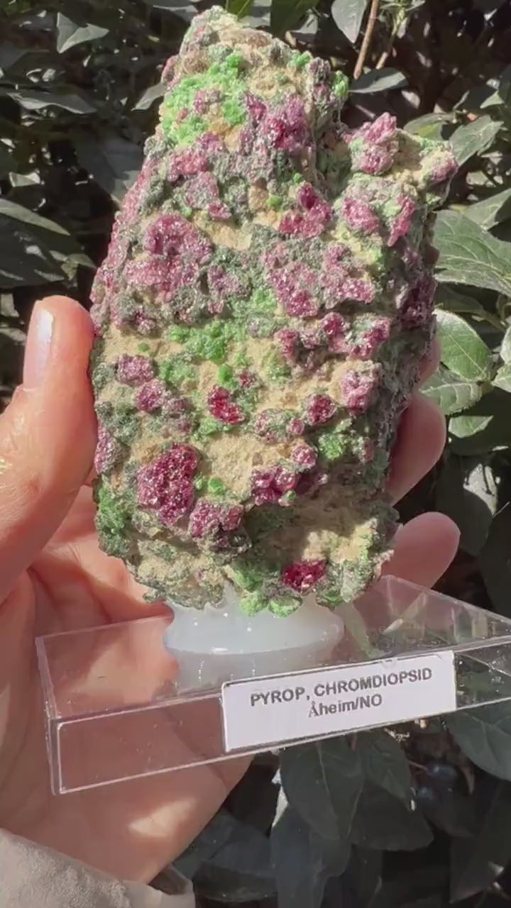 Rare! Pyrope Garnet with Chrom Diopsite Specimen