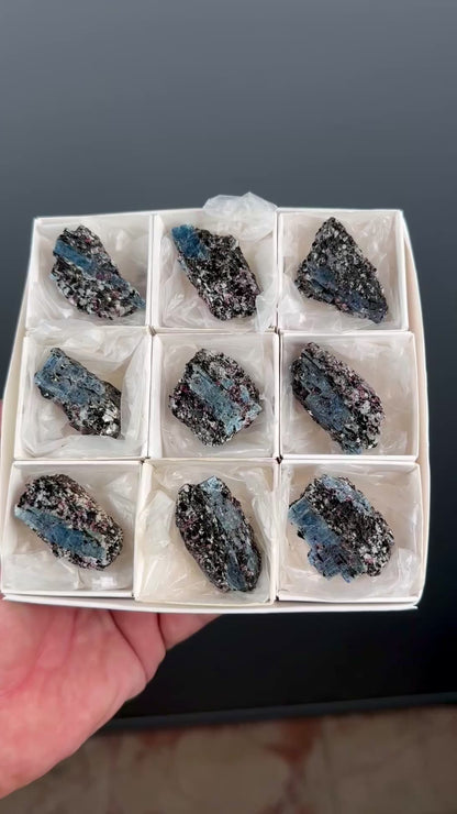 Kyanite with garnet, albite, biotite and Quartz Specimen Lot