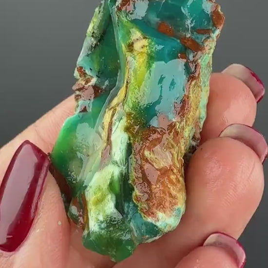 Natural Collawood  (Colla Petrified Wood) with Chrysocolla and Malachite