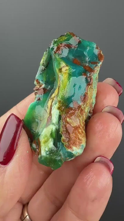 Natural Collawood  (Colla Petrified Wood) with Chrysocolla and Malachite