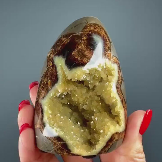 UV Reactive! Utah Septarian Geodes