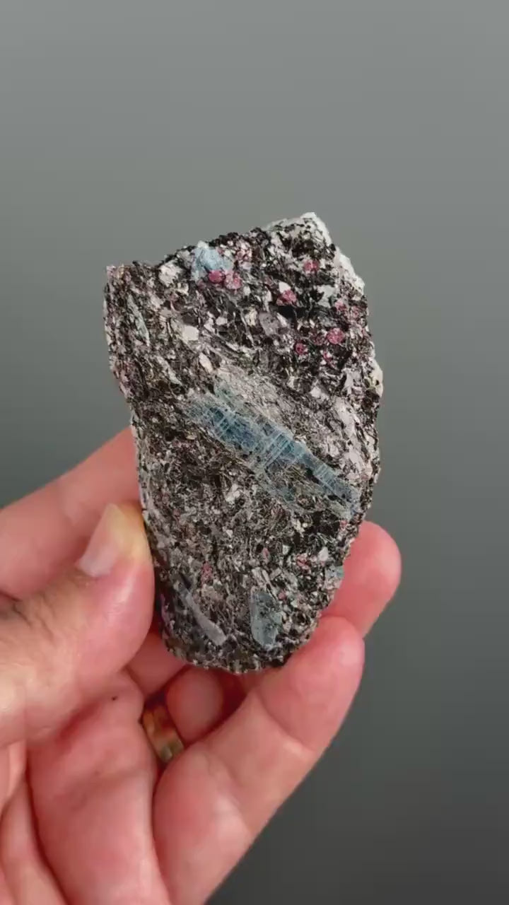 Rare! Blue Kyanite with Garnet  Mineral Specimen