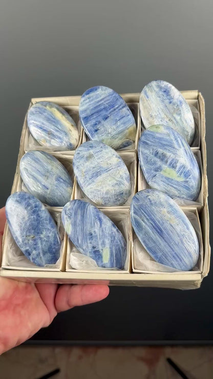 Blue Kyanite Crystal Palm Stone Lot