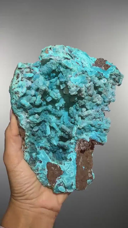 Druzy Chrysocolla Stalactites