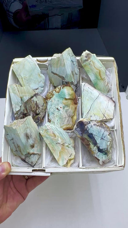 Blue Petrified Wood Lot 9 pieces