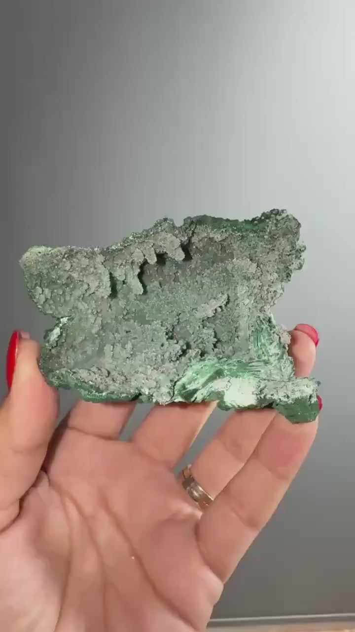 Druzy  Blue Chrysocolla with Malachite Crystal Specimen