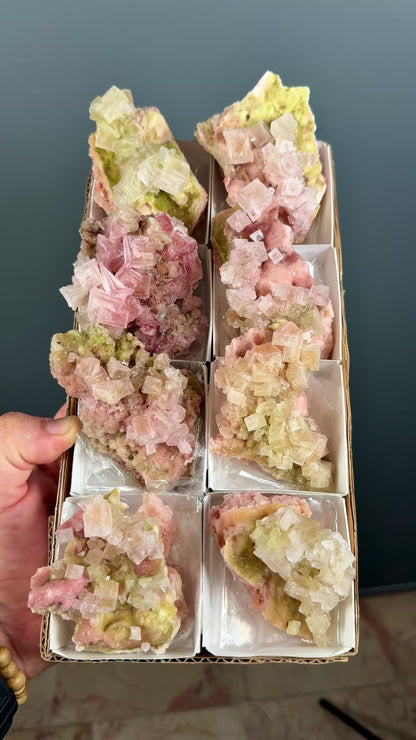 Bicolor Halite Crystal Rainbow Halite on Trona Lot