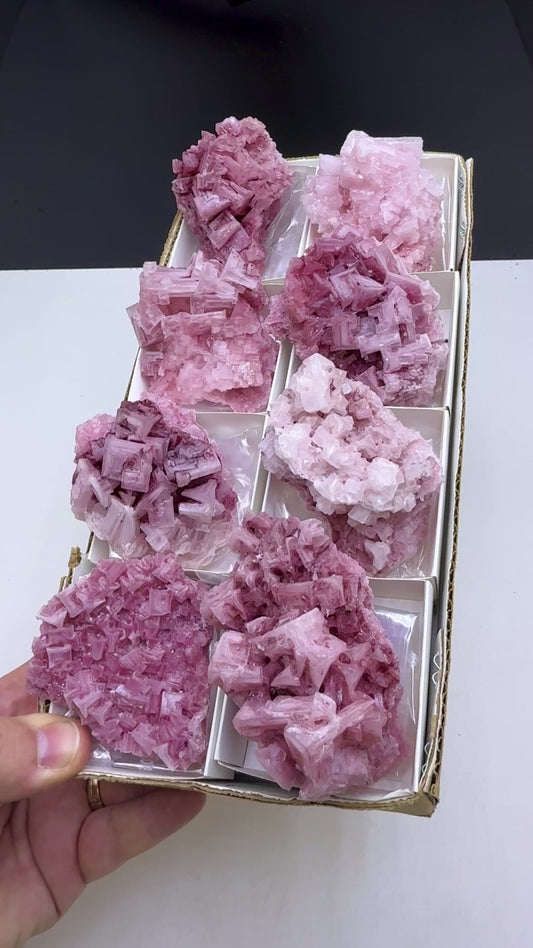 Rasberry and Pink Halite Lot  - 8 Pieces Lot
