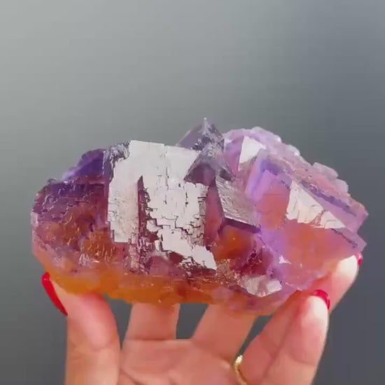 Zoning Fluorite Crystal  Minerva Mine, Illinois, USA