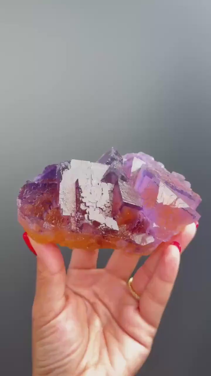 Zoning Fluorite Crystal  Minerva Mine, Illinois, USA