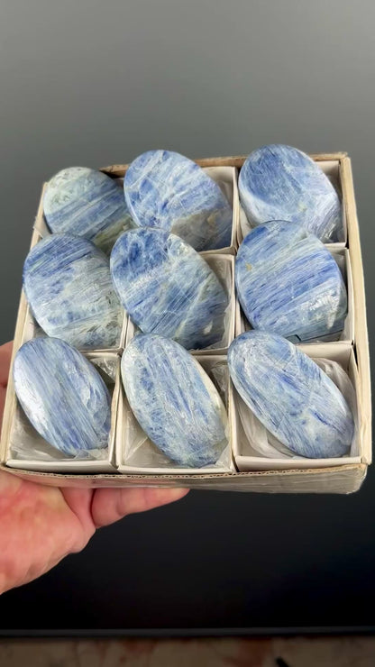 Blue Kyanite Crystal Palm Stone Lot