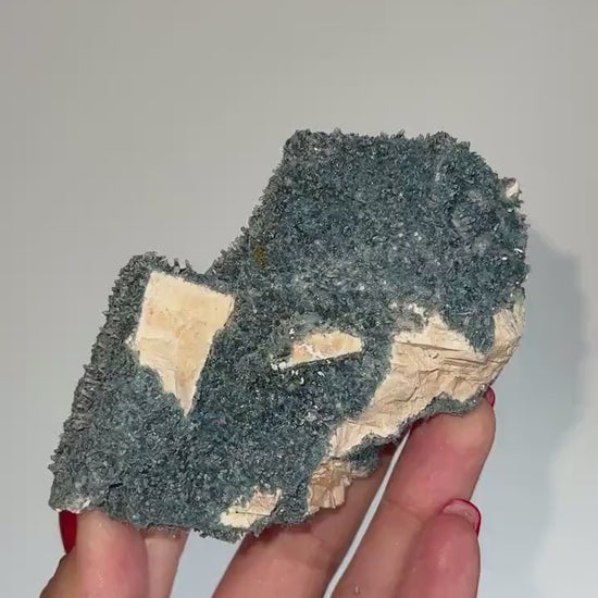 NEW Find , Sparkly Foitite crystal on Feldspar Specimen