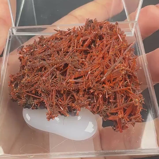 Fire Orange Crocoite Crystal Specimen