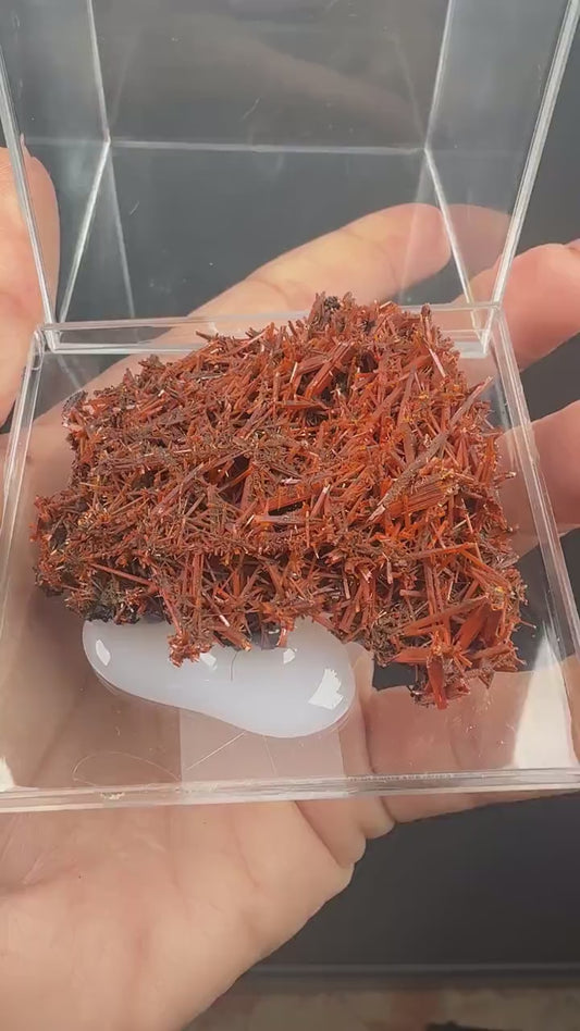 Fire Orange Crocoite Crystal Specimen