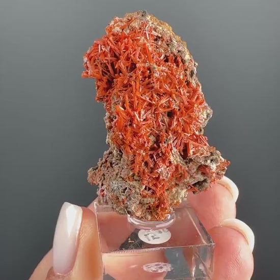 Orange Crocoite Crystal Specimen
