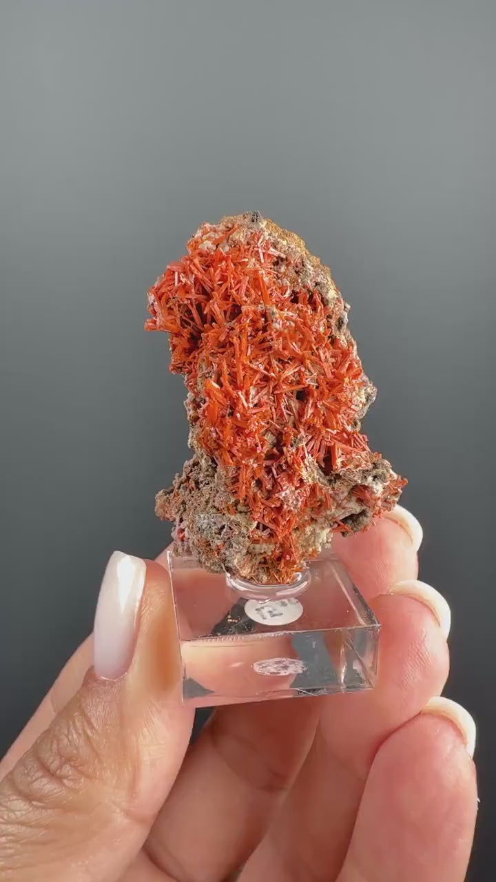 Orange Crocoite Crystal Specimen