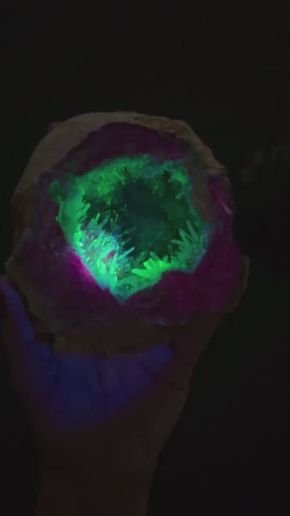 New find! UV Reactive Cosmic Amethyst  with Chalcedony Geode