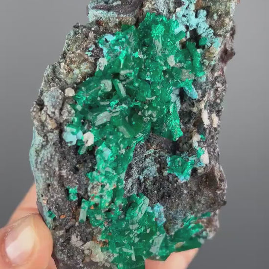 Stunning! Emerald Green Dioptase with Blue Shattuckite Spray and Calcite Mineral Specimen