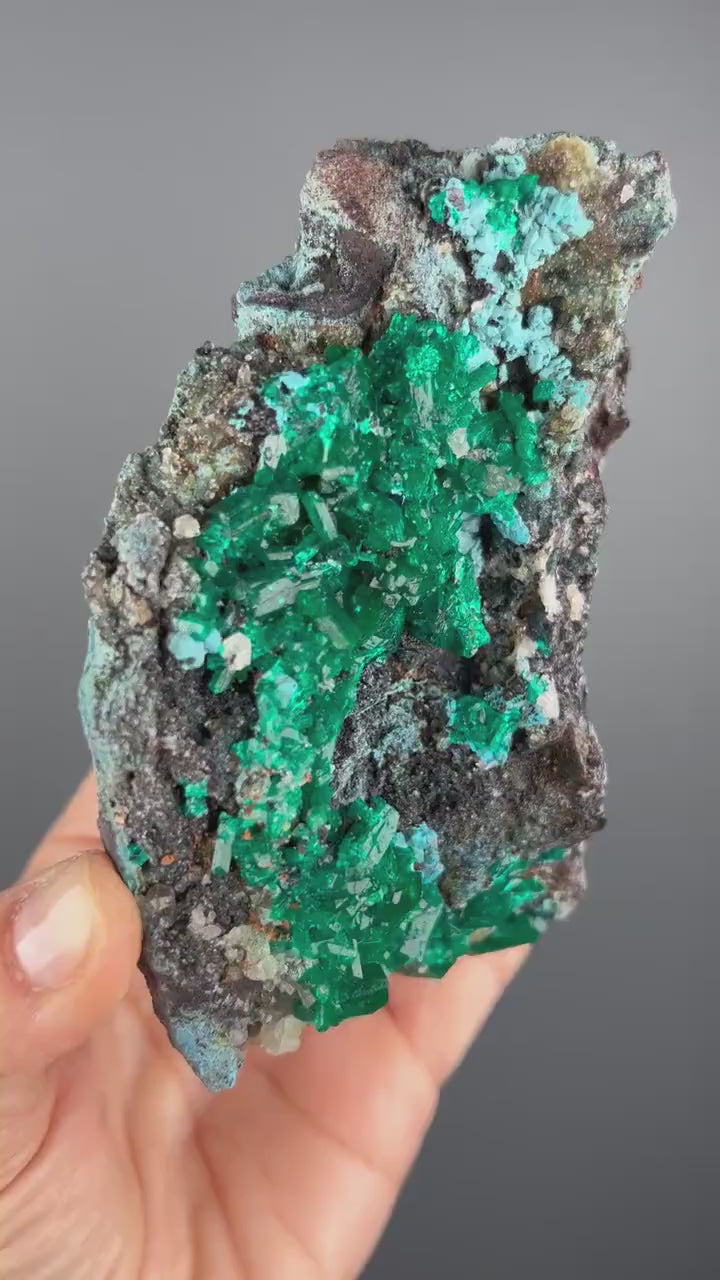 Stunning! Emerald Green Dioptase with Blue Shattuckite Spray and Calcite Mineral Specimen