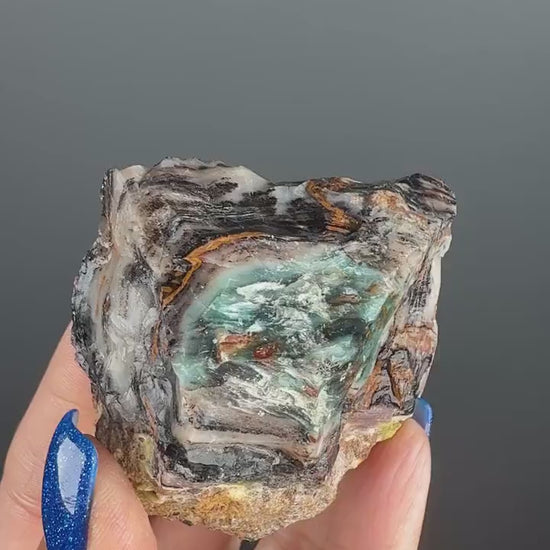 Natural Collawood  (Colla Petrified Wood) with Chrysocolla and Malachite