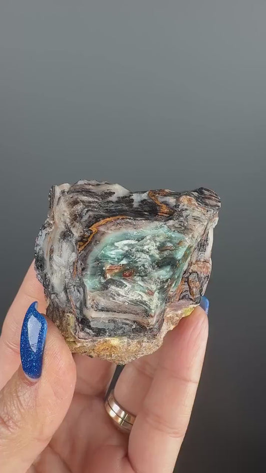 Natural Collawood  (Colla Petrified Wood) with Chrysocolla and Malachite