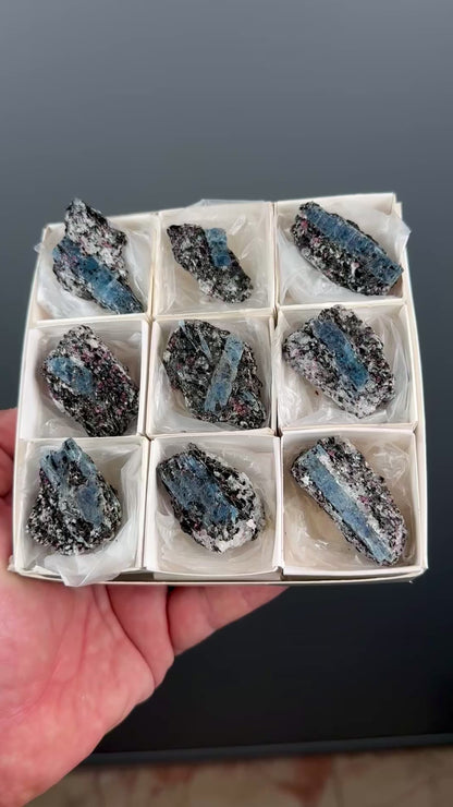 Kyanite with garnet, albite, biotite and Quartz Specimen Lot