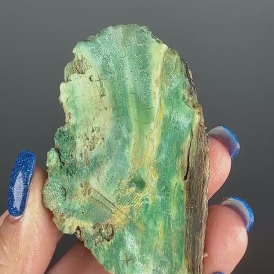 Natural Collawood  (Colla Petrified Wood) with Chrysocolla and Malachite