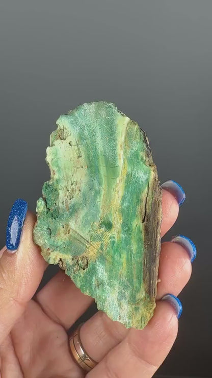 Natural Collawood  (Colla Petrified Wood) with Chrysocolla and Malachite