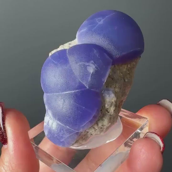 Very Rare! Botryoidal Bluish Purple Fluorite Specimen