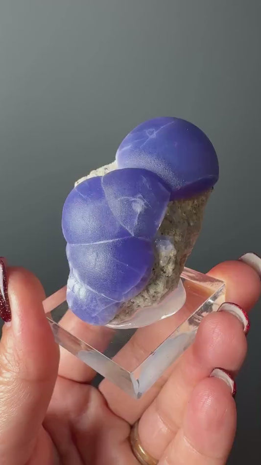 Very Rare! Botryoidal Bluish Purple Fluorite Specimen