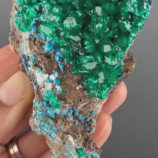 Magnificent Piece! Emerald Green Dioptase with Blue Shattuckite  Mineral Specimen