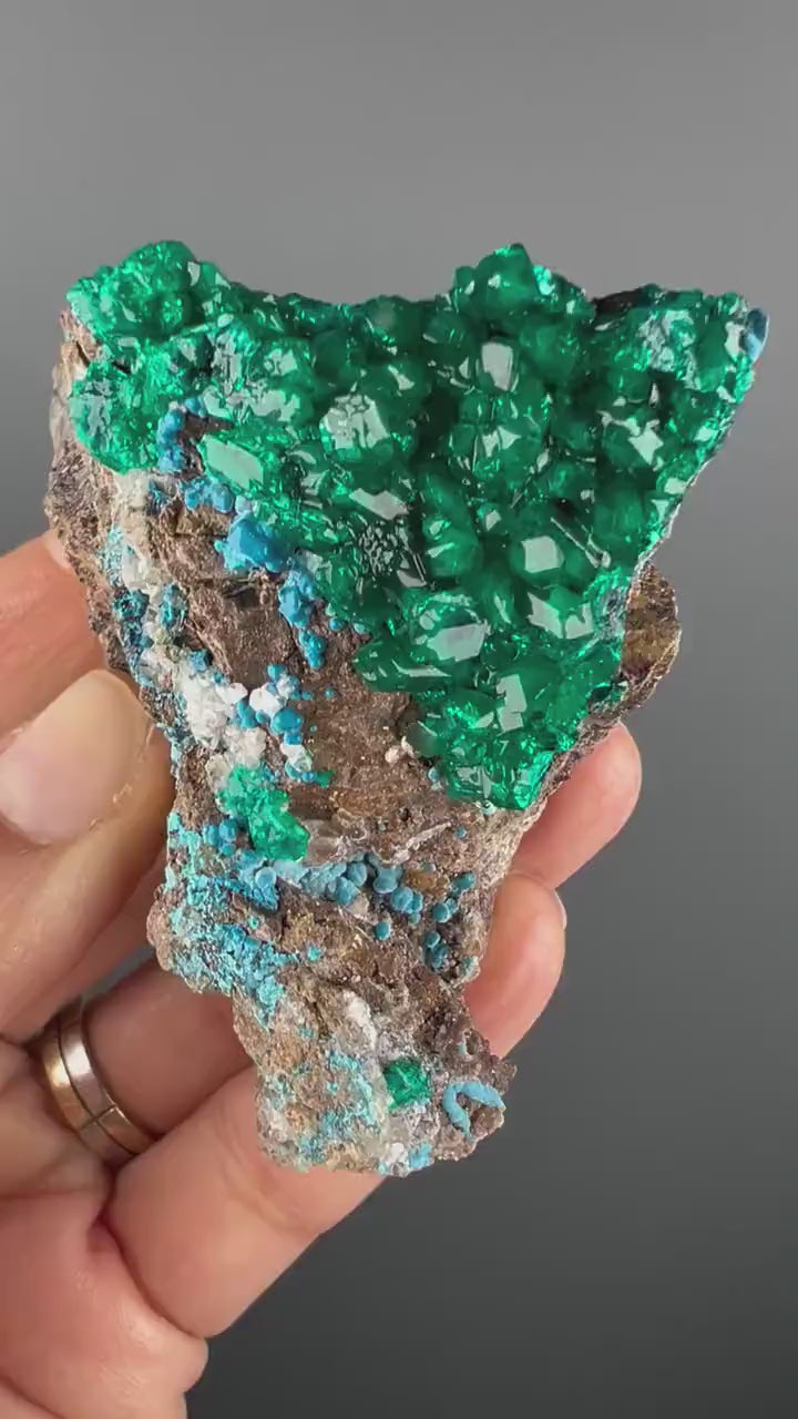 Magnificent Piece! Emerald Green Dioptase with Blue Shattuckite  Mineral Specimen