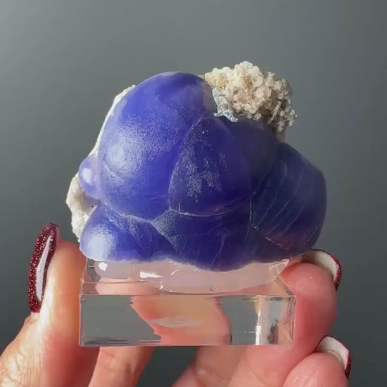 Very Rare! Botryoidal Bluish Purple Fluorite Specimen