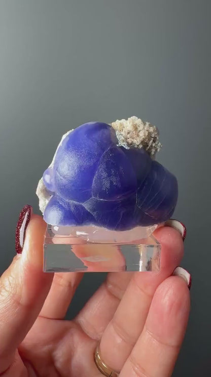 Very Rare! Botryoidal Bluish Purple Fluorite Specimen