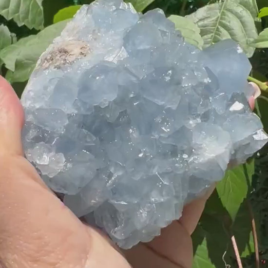 Excellent Color! Sky Blue Celestite (Celestine)  Crystal