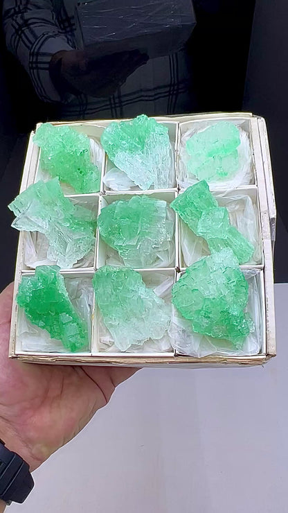 Green Halite Crystal Lot