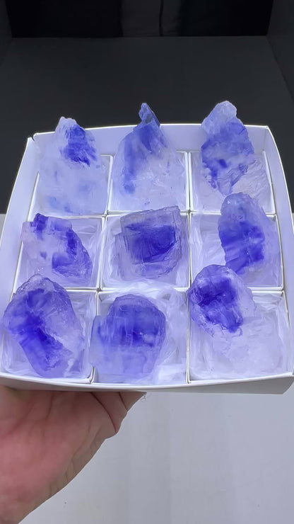 Blue Halite Crystal Lot