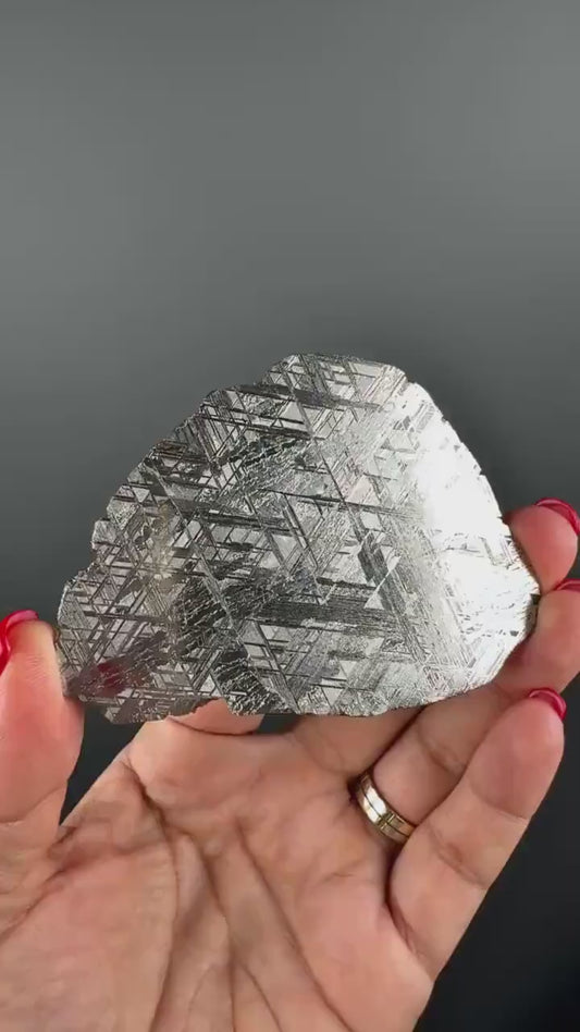RARE !Muonionalusta Meteorite Slab